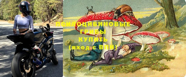 метадон Горнозаводск