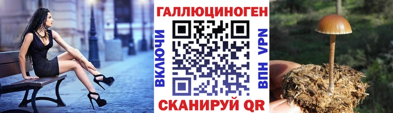 Псилоцибиновые грибы Magic Shrooms  Купить закладки  Краснообск 